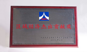 2008年區(qū)域杰出貢獻(xiàn)獎