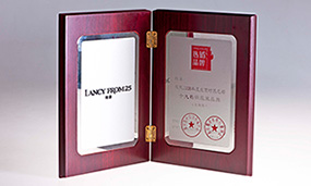 2008年朗姿十大熱銷品牌