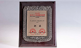 2009年朗姿十大熱銷品牌